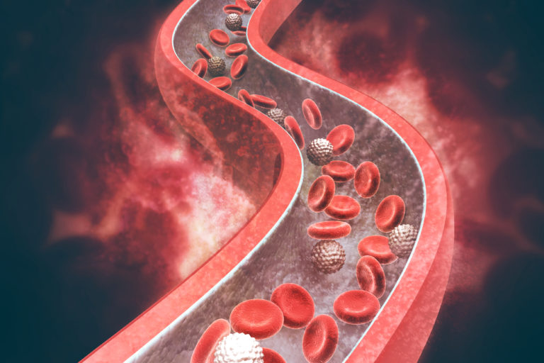 Illustration of blood cells in an artery